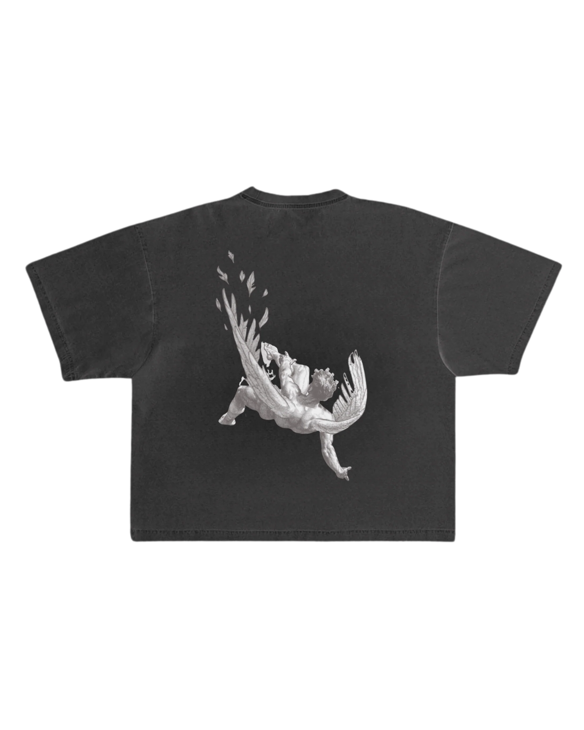 Camiseta Icarus Preta